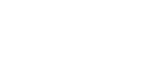 GRUNDIG LOGO WHITE